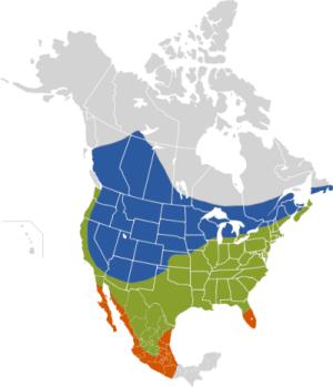 brown-headed cowbird distribution map